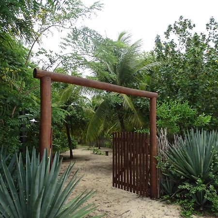 Jungle House Hotel Sao Miguel do Gostoso Exterior photo