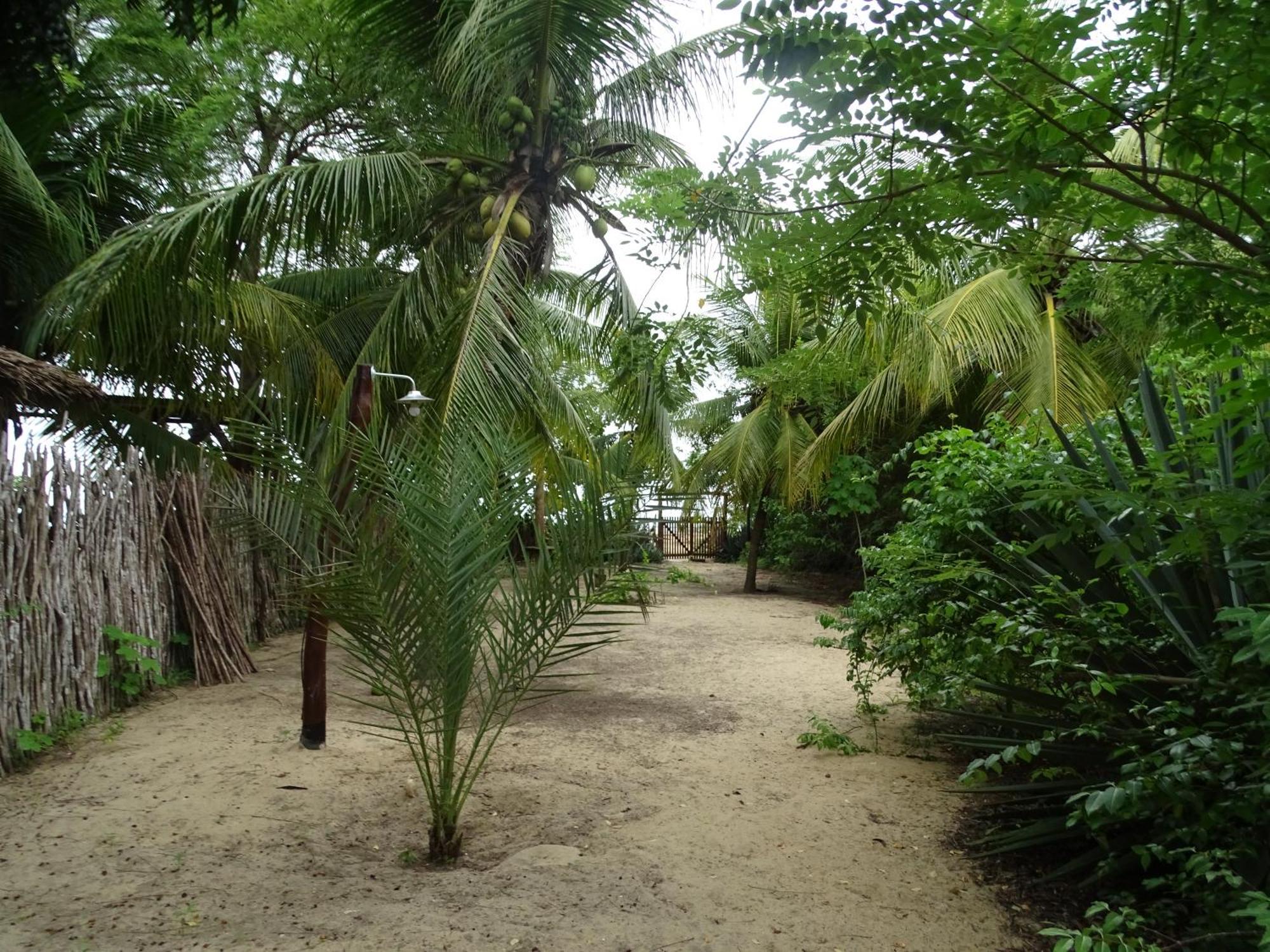 Jungle House Hotel Sao Miguel do Gostoso Exterior photo