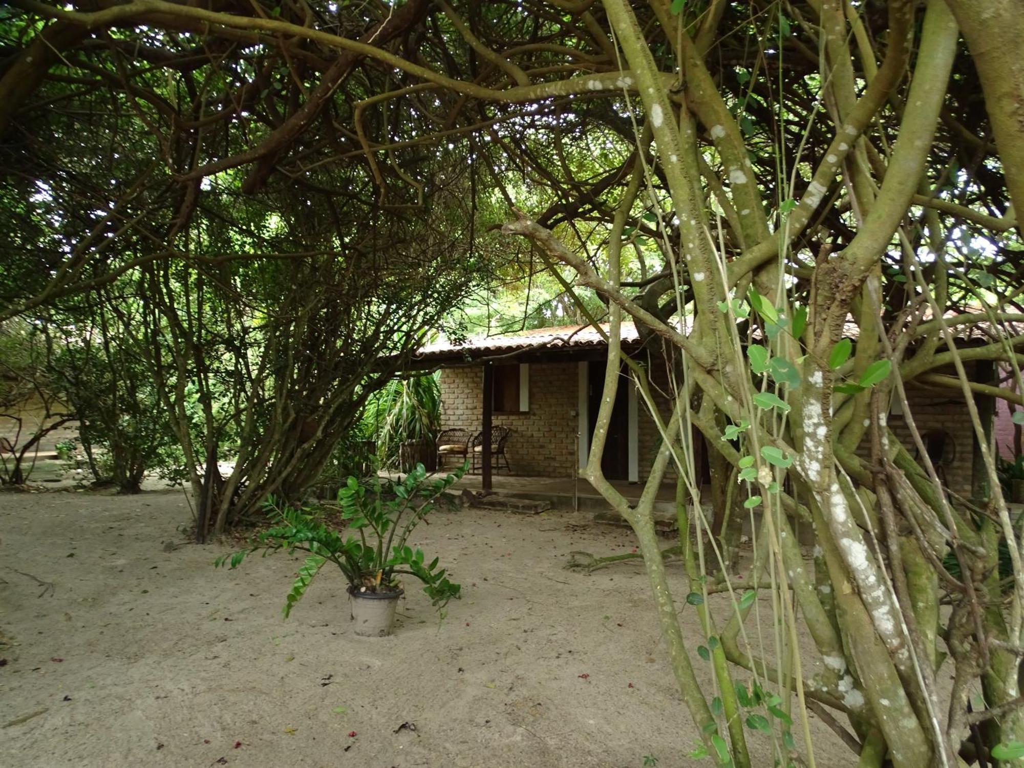 Jungle House Hotel Sao Miguel do Gostoso Exterior photo