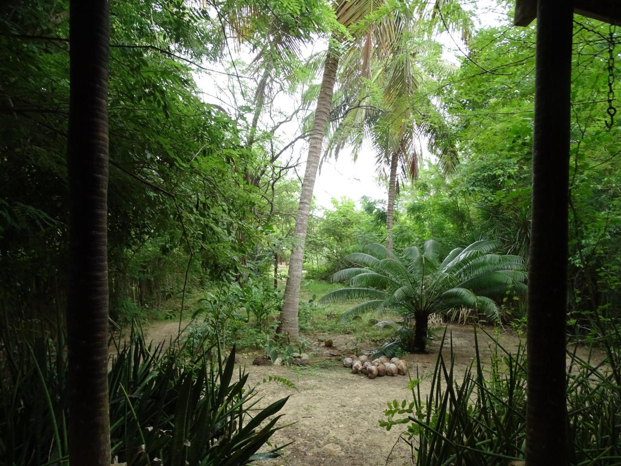 Jungle House Hotel Sao Miguel do Gostoso Exterior photo